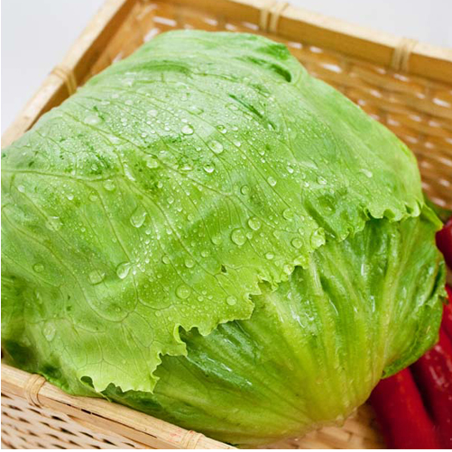 圓生菜零售價飆升 菜販與消費者同承重壓
