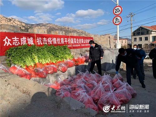 共克時(shí)艱 青島商務(wù)在行動 以“豐菜足果”溫暖城市居民生活