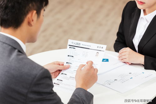 874萬應屆生求職季 若忽視這關鍵兩點，或面臨“畢業即失業”困境——來自企業管理咨詢的忠告